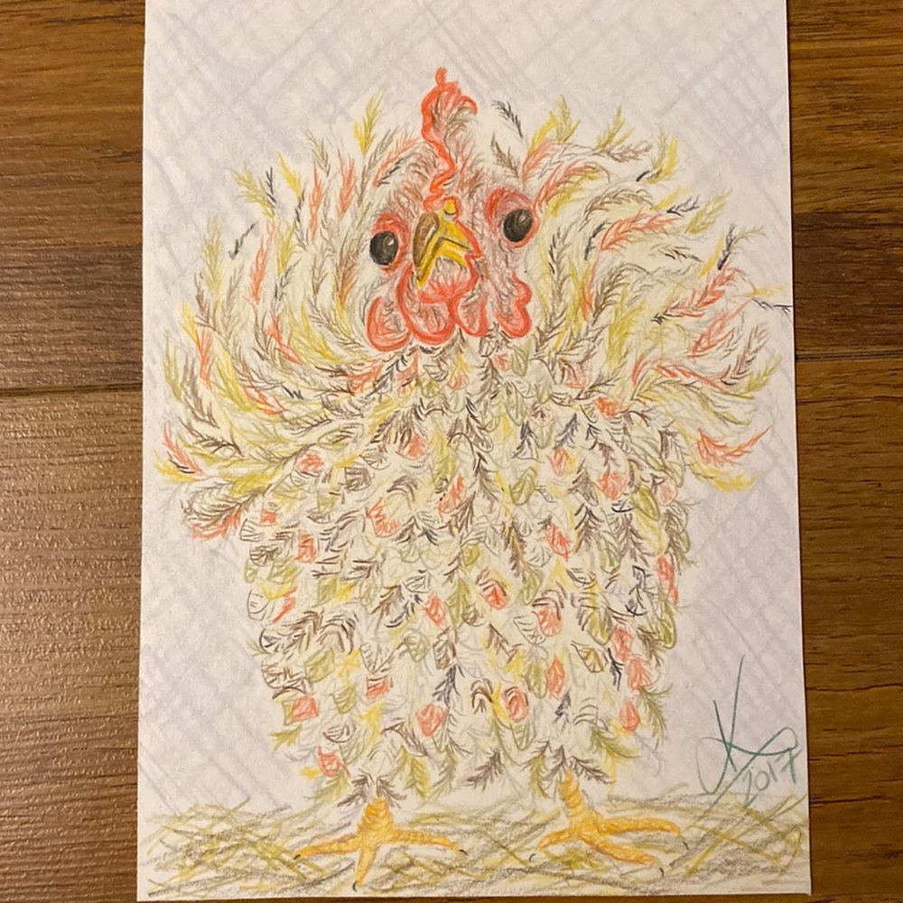 Unframed Original Art Pencil Crayon What the Cluck?! Chicken Illustration